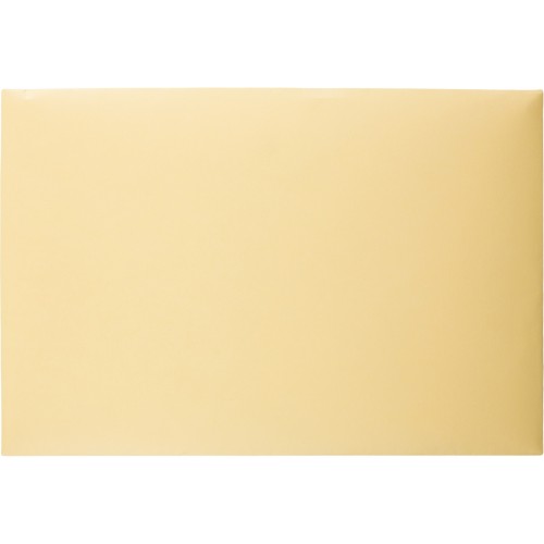 Deals&nbsp;Tops&nbsp;89606&nbsp;Envelopes