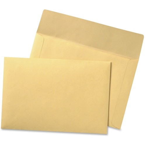 Tops 89604 Envelopes Index Flat File QUA89604 641438061661
