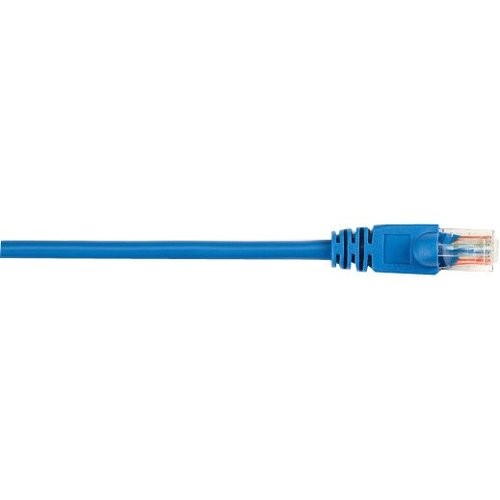 Black Box CAT5EPC-020-BL Cables Connect Cat.5e Utp Patch Network Cable Cat5epc020bl 818215041462
