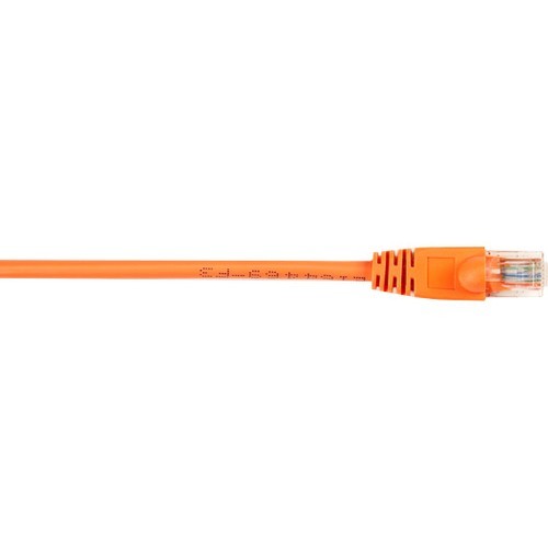 Black Box CAT5EPC-003-OR Cables 3ft Or Cat5e 100mhz Ethernet Pacabl - Tch Cable Utp Pvc (cat5epc-003-or) Cat5epc003or 822088050421