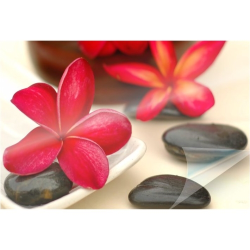 Fellowes 5223001 Lamination Sheets & Cartridges Superquick Glossy Laminating Pouches 438596296888