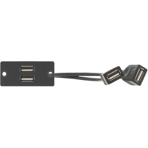 Kramer Electronics WU-2AA Faceplates & Mounting Boxes The Wu-2aa Is A Single Wall Plate Insert With  Two Usb 2.0 Type A Ports And Two Wu2aa 