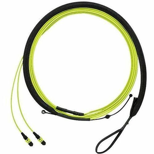 Panduit FWUYL7575LAM046 Cables Panduit Om5sigcore24ftrnklszh,ea - 150.92 Ft Fiber Optic Network Cable - Trunk Cable - Lszh - Lime - 613056353848