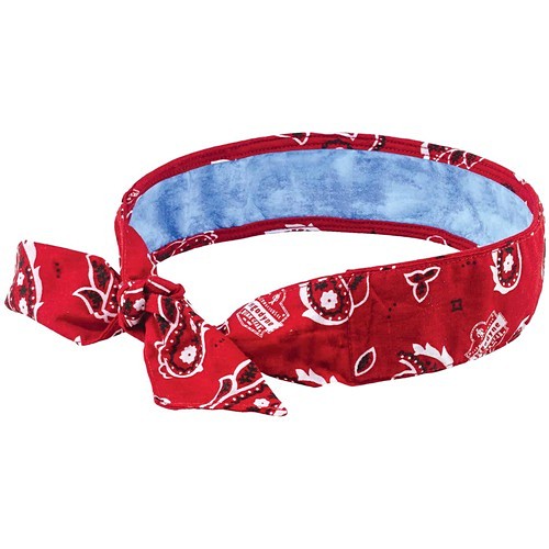 Ergodyne 12563 Cooling Bandanas 6700ct Cooling Bandana EGO12563 720476125631