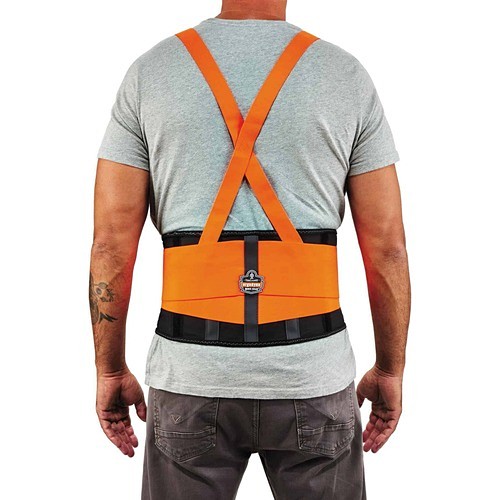 Ergodyne 11881 Ergonomic Supports Proflex 100hv Economy Hi-vis Back Brace EGO11881 720476118817
