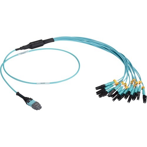 Black Box FOHC20M3MPLC12AQ-1R2 Cables Black Box Mtp Om3 Fiber Optic Harness Cable - Plenum, 12-strand - 3.28 Ft Fiber Optic Network Cable  Fohc20m3mplc12aq1r2 