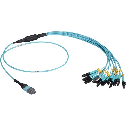 Black Box FOHC20M3MPLC12AQ-2R2 Cables Black Box Mtp Om3 Fiber Optic Harness Cable - Plenum, 12-strand - 6.50 Ft Fiber Optic Network Cable  Fohc20m3mplc12aq2r2 
