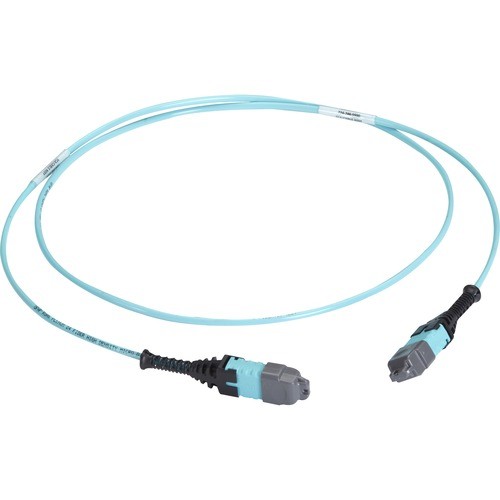 Black Box FOTC20M3MP12AQ-15R2 Cables Black Box Mtp Om3 Fiber Optic Trunk Cable - Plenum, 12-strand, Type A - 49.21 Ft Fiber Optic Network Fotc20m3mp12aq15r2 