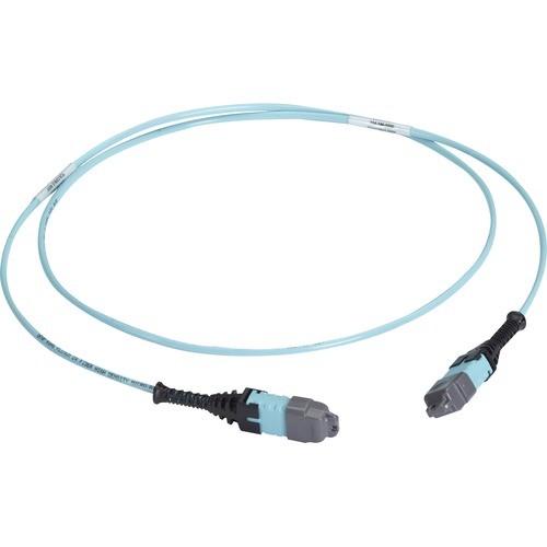 Black Box FOTC20M3MP12AQ-1R2 Cables Black Box Mtp Om3 Fiber Optic Trunk Cable - Plenum, 12-strand, Type A - 3.28 Ft Fiber Optic Network  Fotc20m3mp12aq1r2 