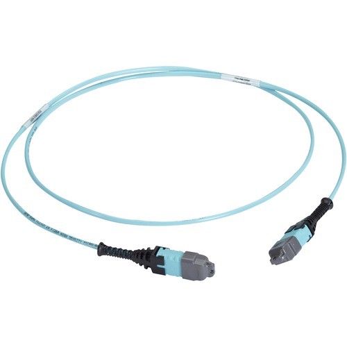 Black Box FOTC20M3MP12AQ-20R2 Cables Black Box Mtp Om3 Fiber Optic Trunk Cable - Plenum, 12-strand, Type A - 65.62 Ft Fiber Optic Network Fotc20m3mp12aq20r2 