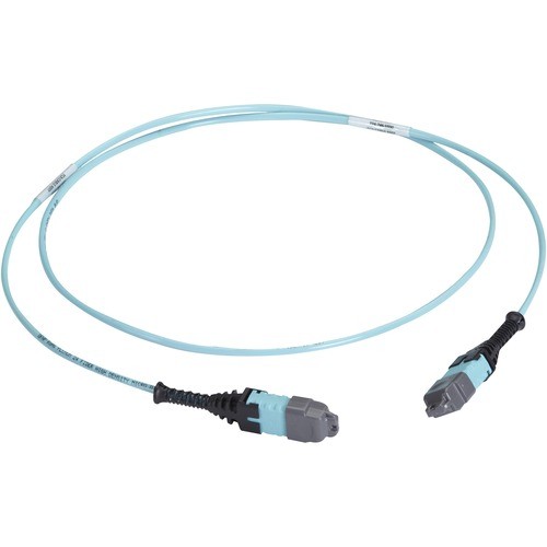 Black Box FOTC30M3MP12AQ-30R2 Cables Black Box Mtp Om3 Fiber Optic Trunk Cable - Plenum, 12-strand, Type C - 98.43 Ft Fiber Optic Network Fotc30m3mp12aq30r2 