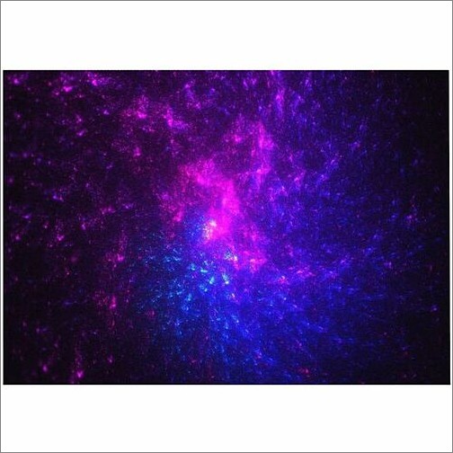 Lg LDAA025-MD Digital Signage Systems Lg Ldaa025-md Miraclass, 4k Screen - Lcd - 4096 X 2160 - Led - 300 Nit - 2160p - Hdmi - Serialethern Ldaa025md 195174058152