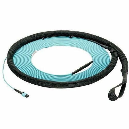 Panduit FYZYP88Y005F036 Cables Panduit Fiber Optic Trunk Network Cable - 36 Ft Fiber Optic Network Cable For Network Device - First 