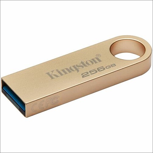 Kingston DTSE9G3/256GB Flash Drives Kingston Datatraveler Se9 G3 256gb Usb 3.2 (gen 1) Type A Flash Drive - 256 Gb - Usb 3.2 (gen 1) Typ Dtse9g3256gb 740617341379