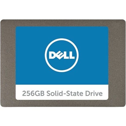 Dell SNP110S/256G Hard Drives Dell 256gb Sata 6gbps 2.5in    Internal - Internal Ssd (snp110s/256g) Snp110s256g 