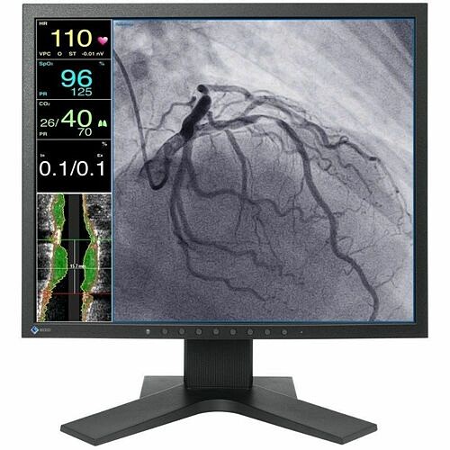 Eizo LX1910-S Monitors Eizo Curator Lx1910-s 19" Class Sxga Led Monitor - 5:4 - Black - 19" Viewable - In-plane Switching ( Lx1910s 4251303301516