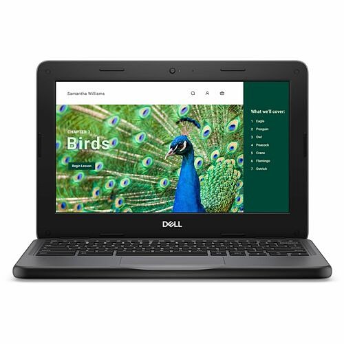 Dell 51R7C Notebooks Dell Chromebook 3000 3120 11.6" Clamshell Chromebook - Hd - Intel N-series N100 - 4 Gb - 64 Gb Flash 884116481591