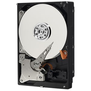Buy&nbsp;Western Digital&nbsp;WD3200AVVS&nbsp;Hard Drives