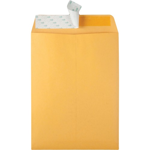 Specials&nbsp;Quality Park Products&nbsp;44562&nbsp;Envelopes