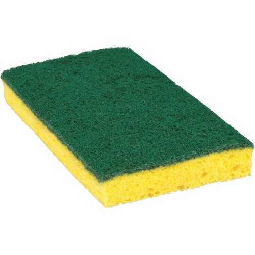 Shop&nbsp;Sponges